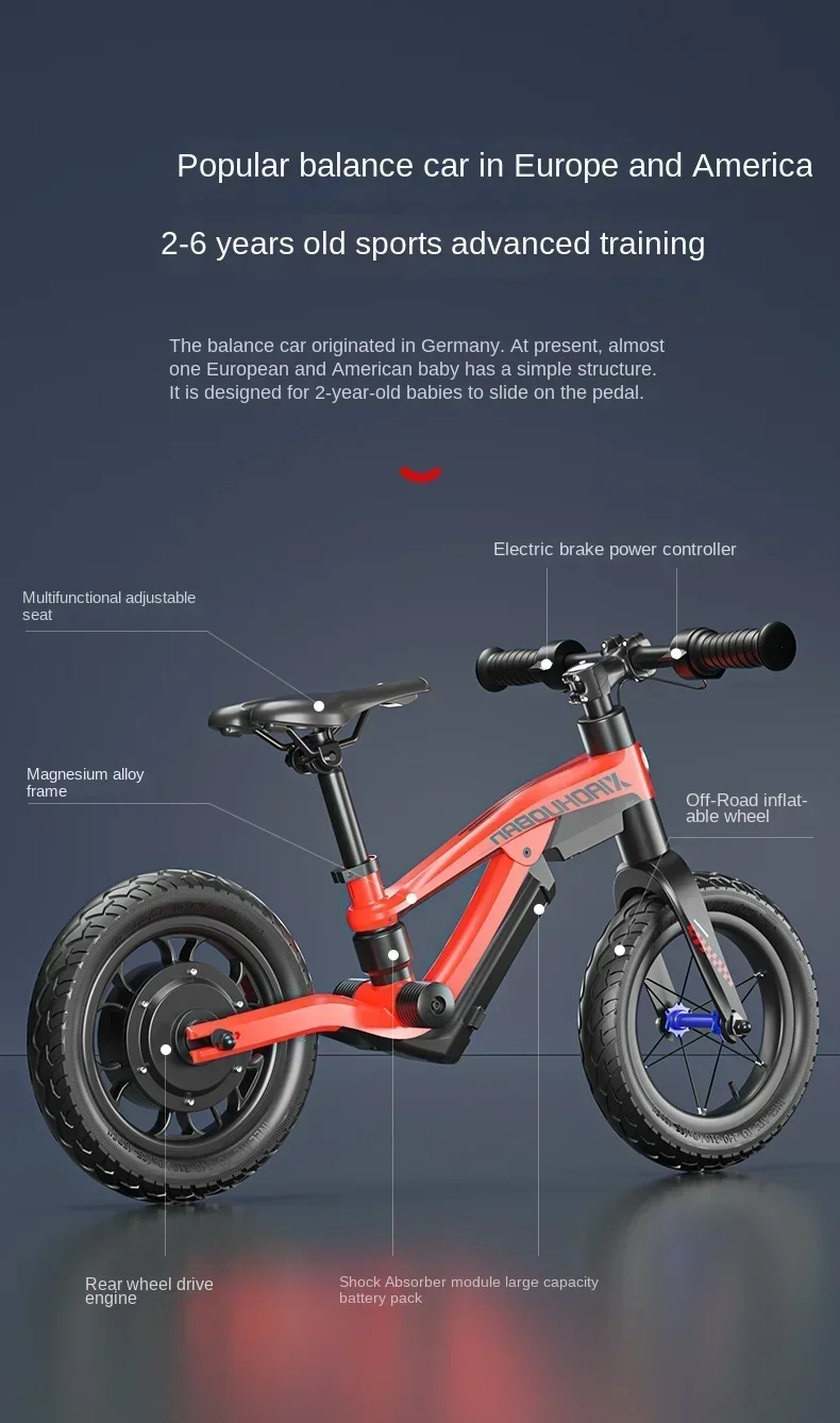 24V 250W 2.5Ah Lithium Battery - Balance Bike Kids 评论和价格