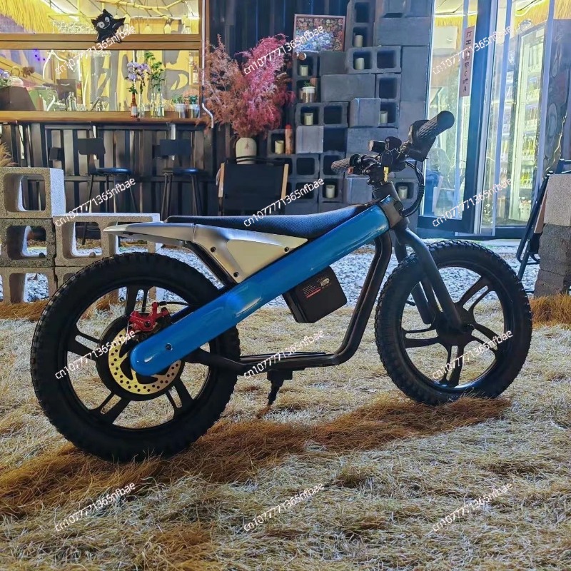 16 Inch Kids Electric Balance  - Balance Bike Kids 评论和价格